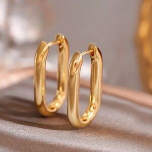 Elegant Gold Hoop Earrings NWOT